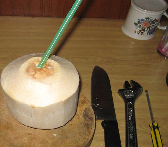coconut07.JPG